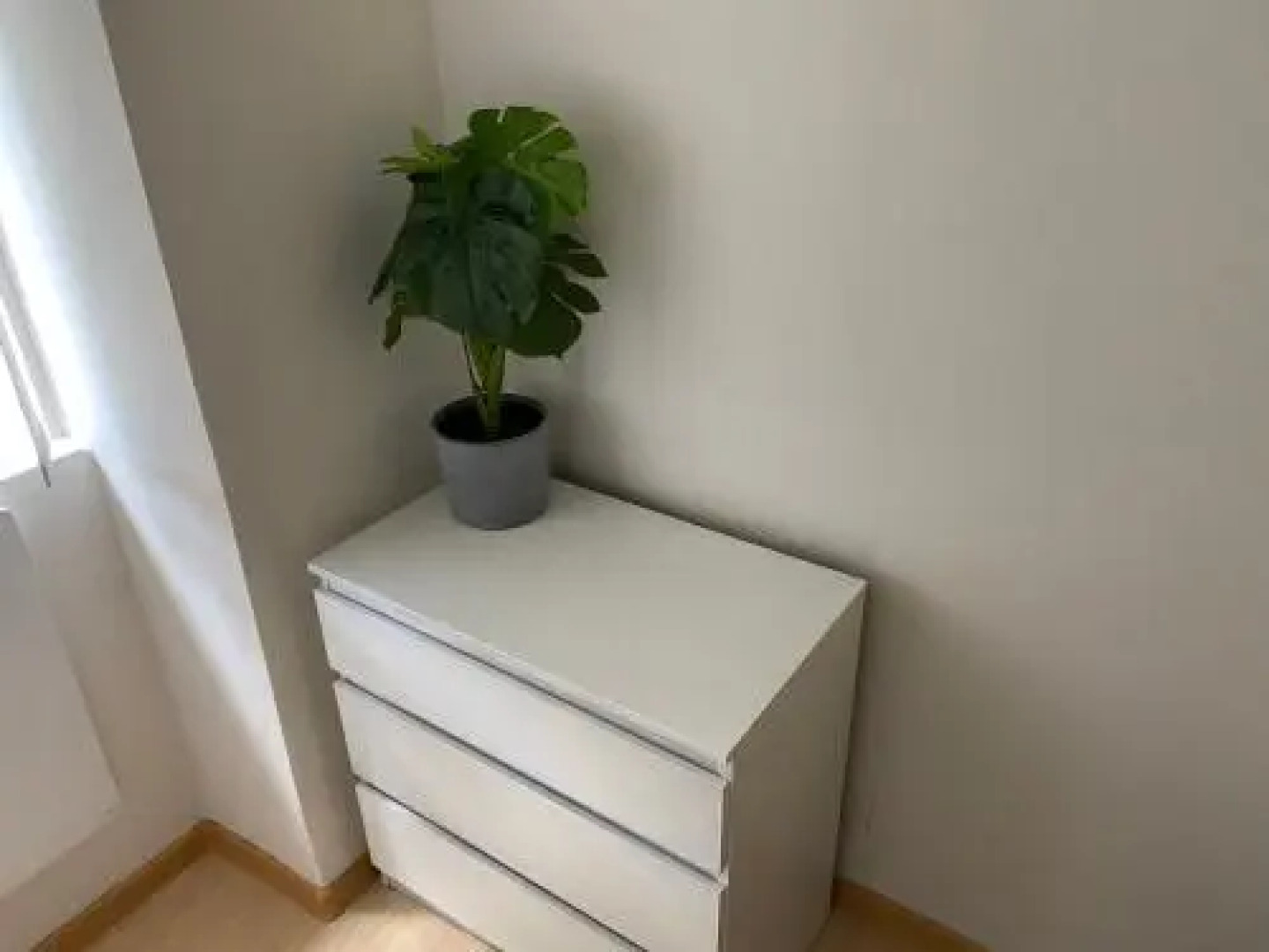 Downtown Flat under Spilberk Castle