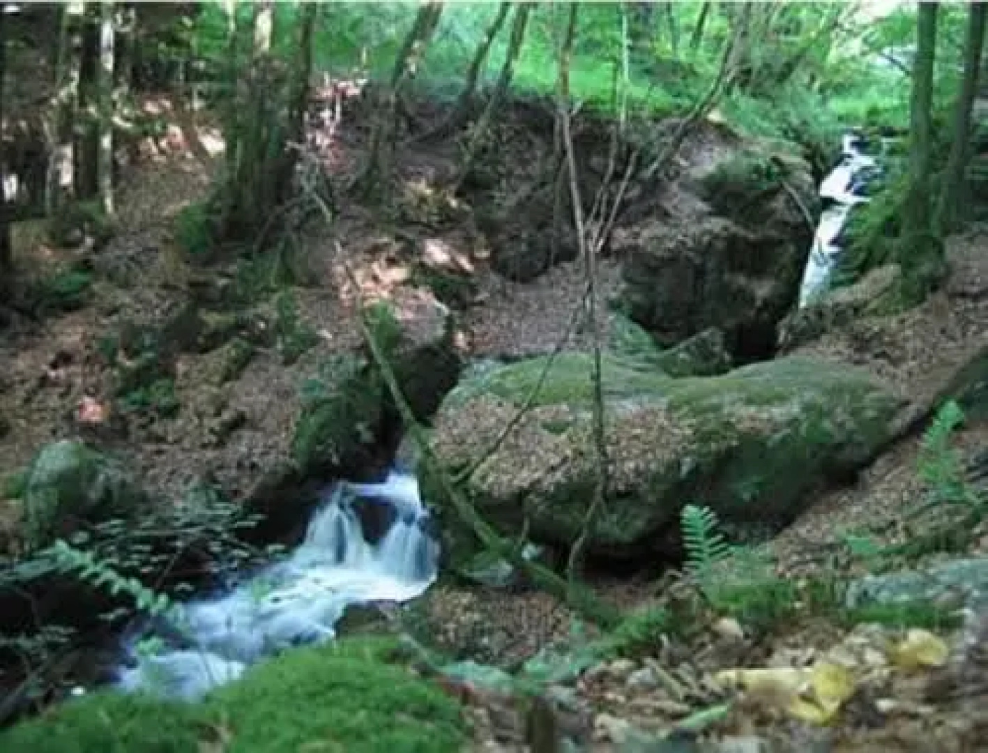 Auberge du Précontent