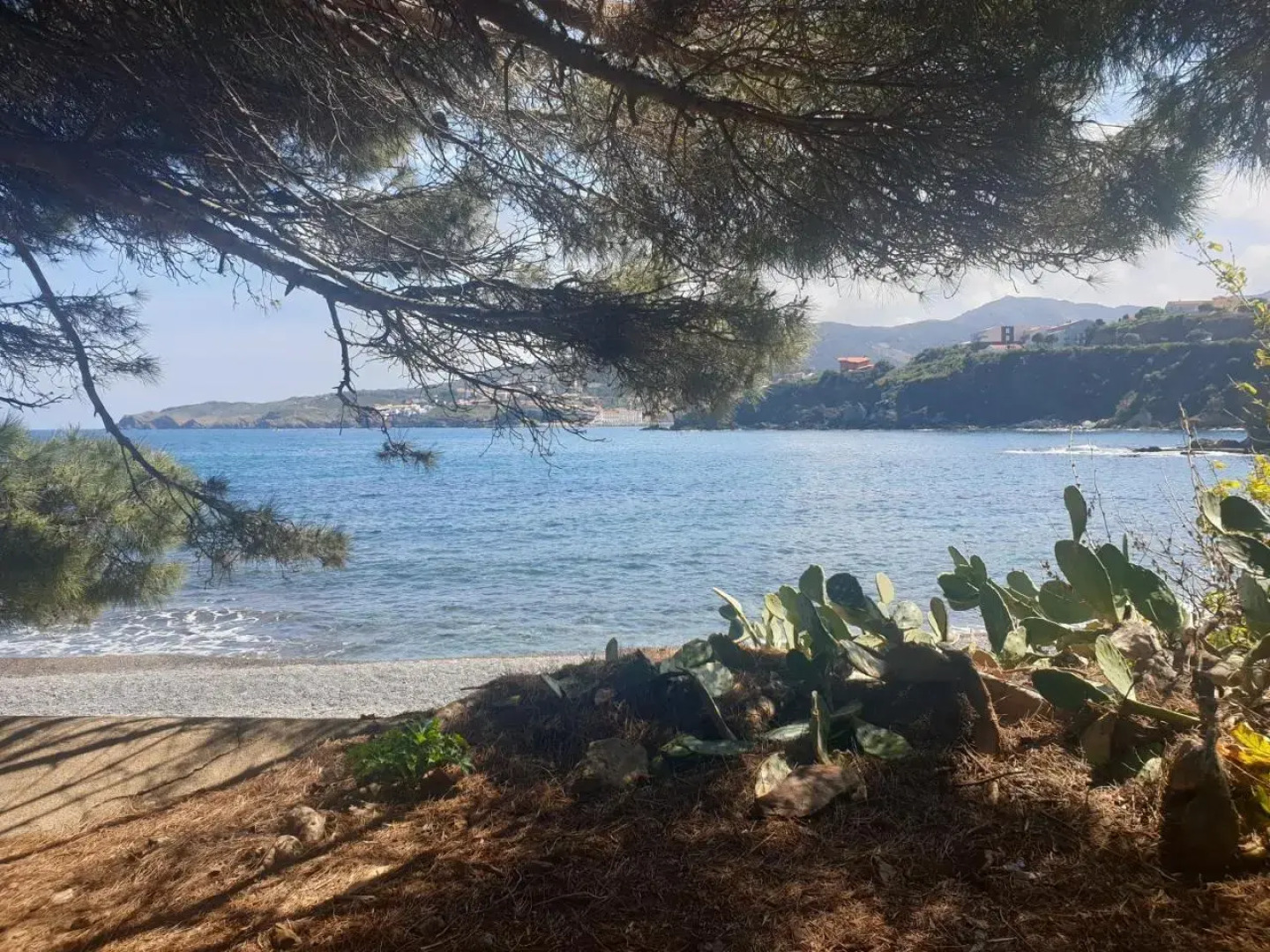 Mas Del Roumany (Adults Only)