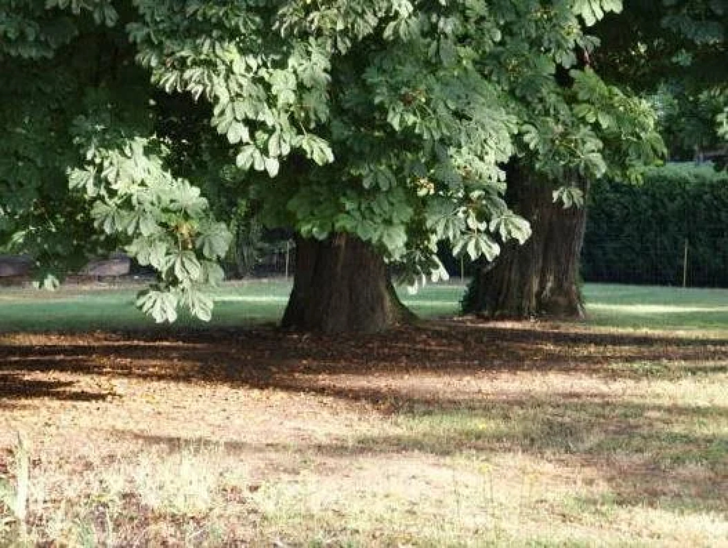 Château de la Fresnaye