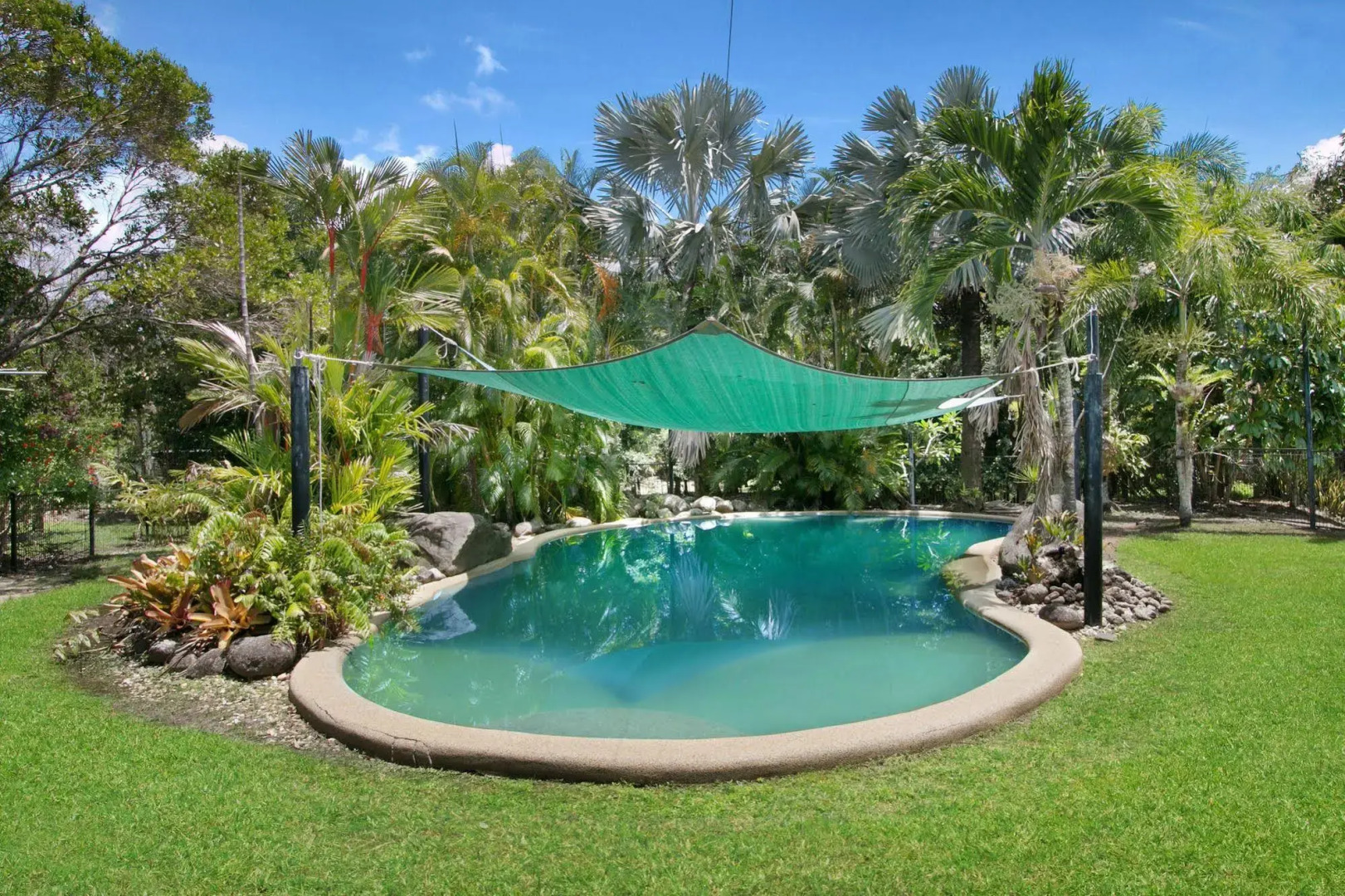 Daintree Wild Zoo & B&B