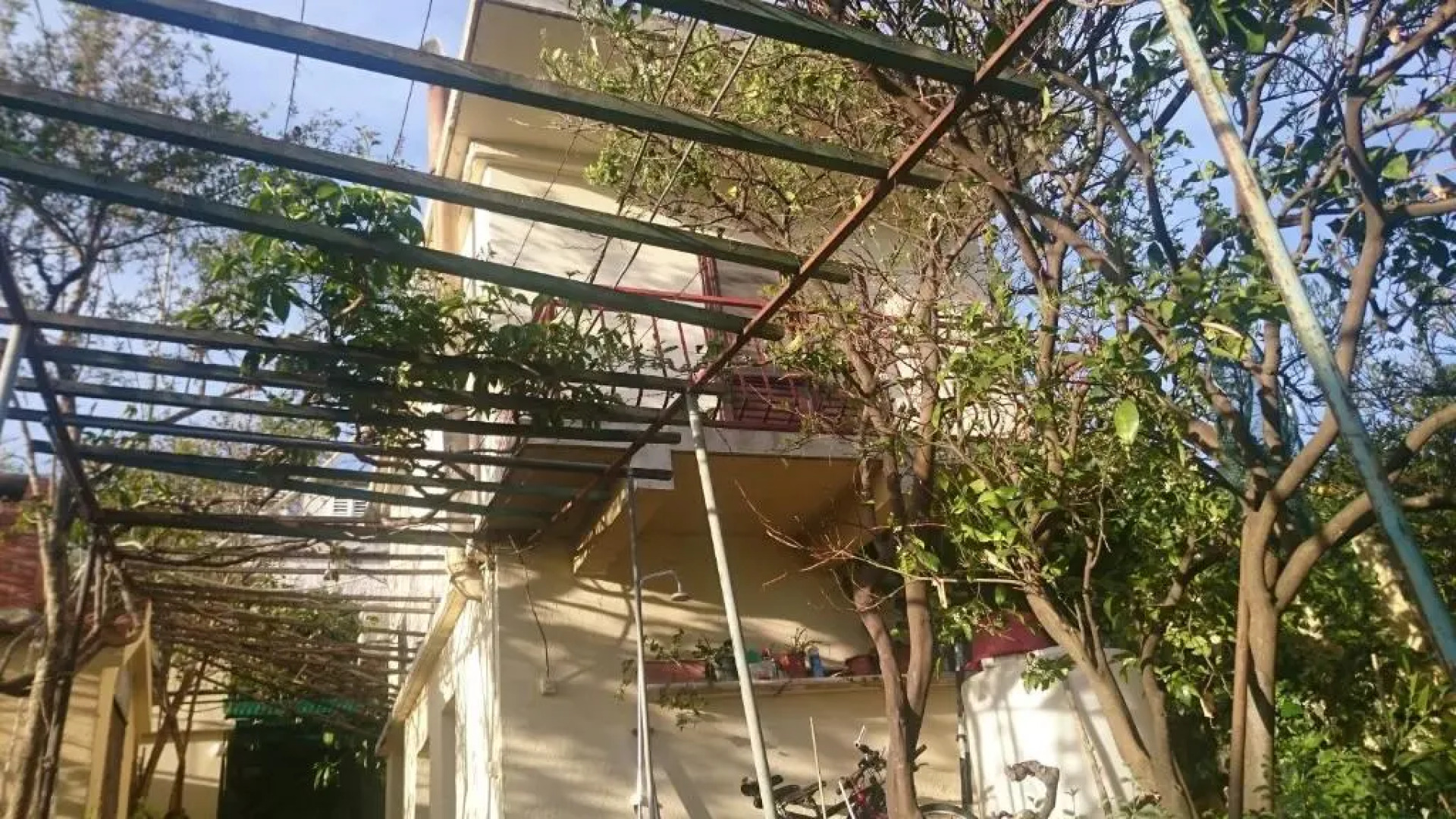 Apartments Petković