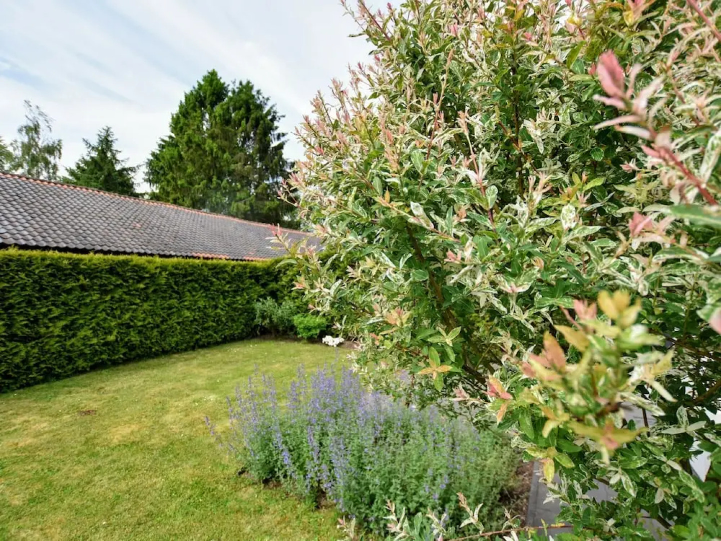 Spacious Chalet in Wolfheze with Garden