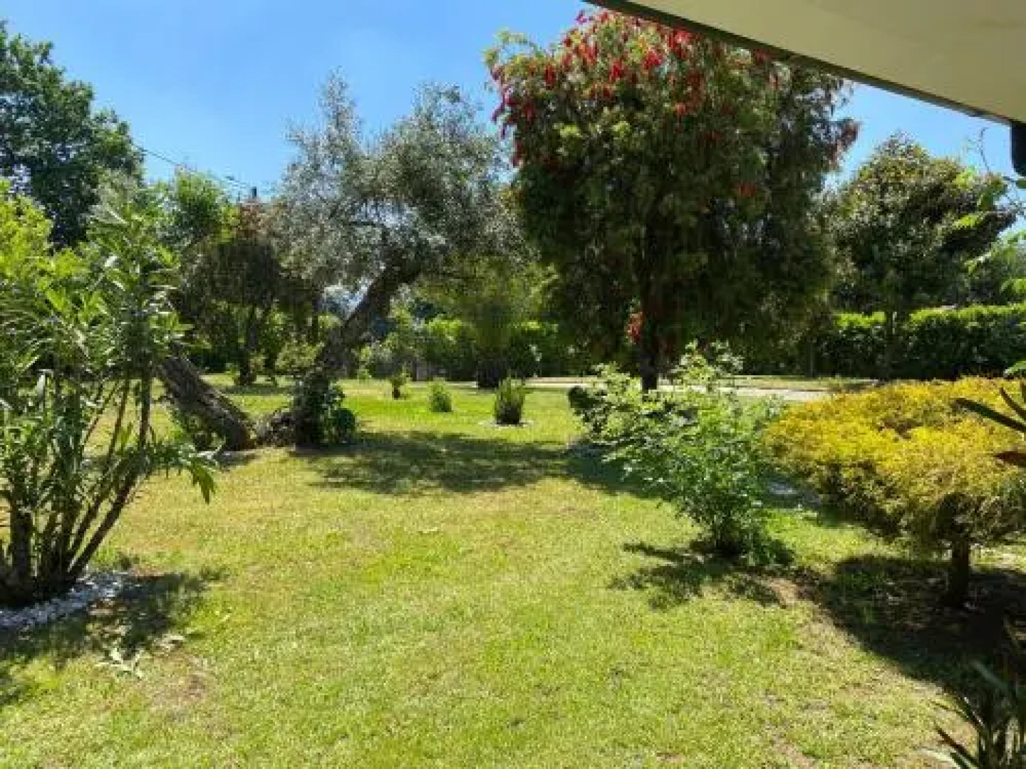 The Oak´S Wolf-Country House