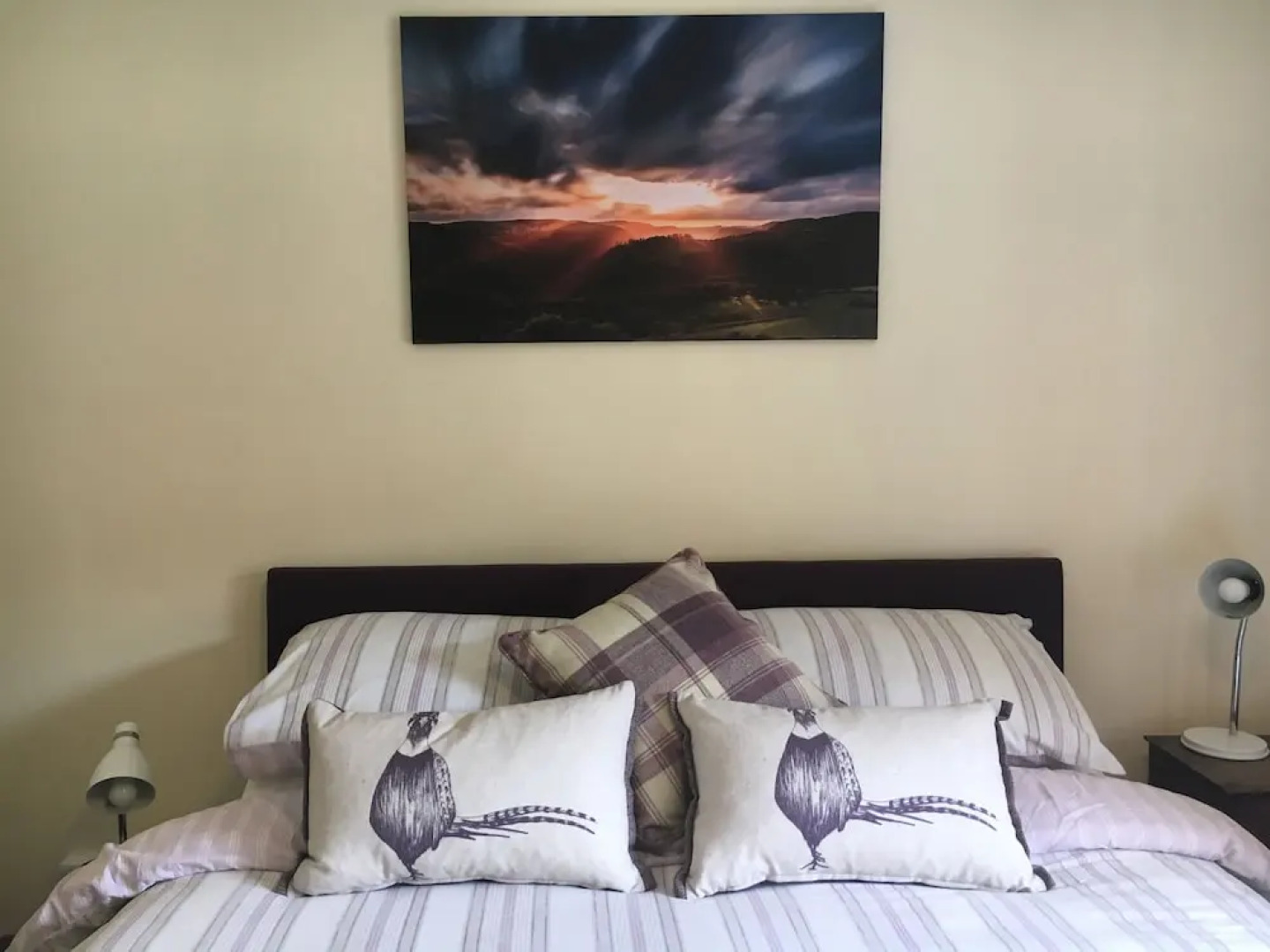 Broncoedwig Devil's Bridge