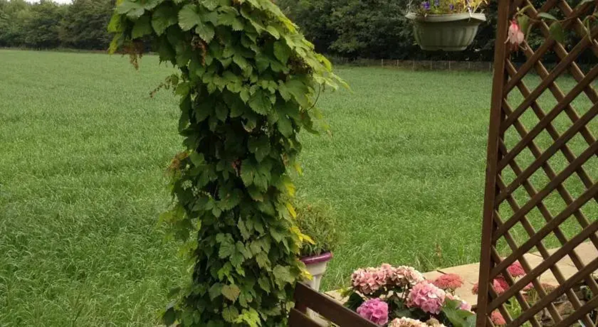 Field View House B&B