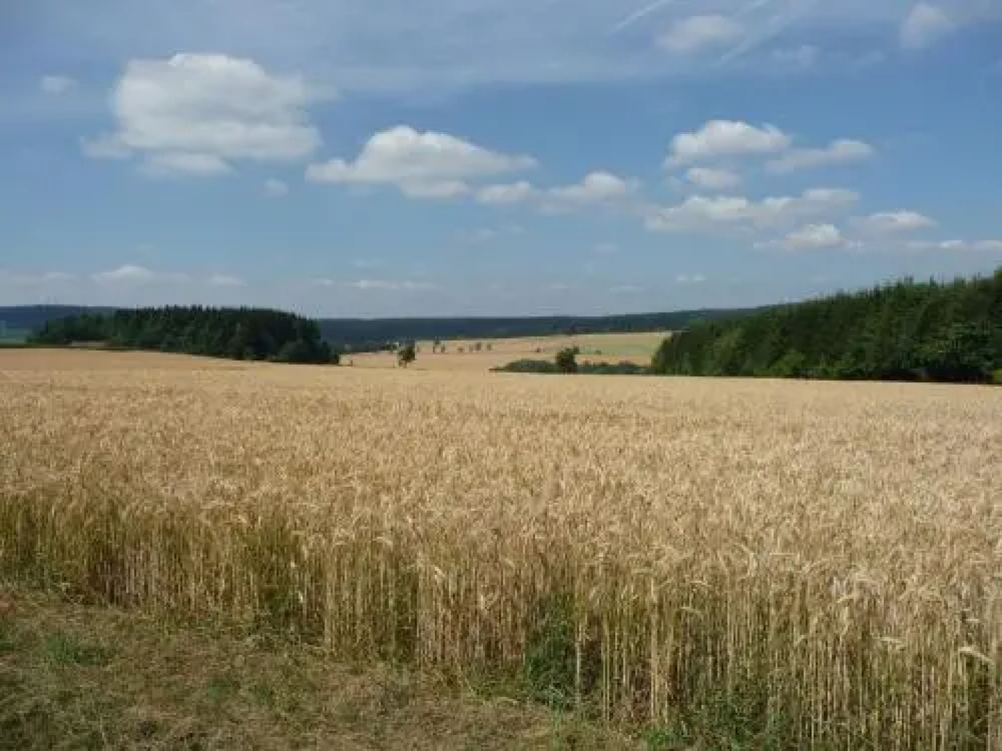 Haus Resi