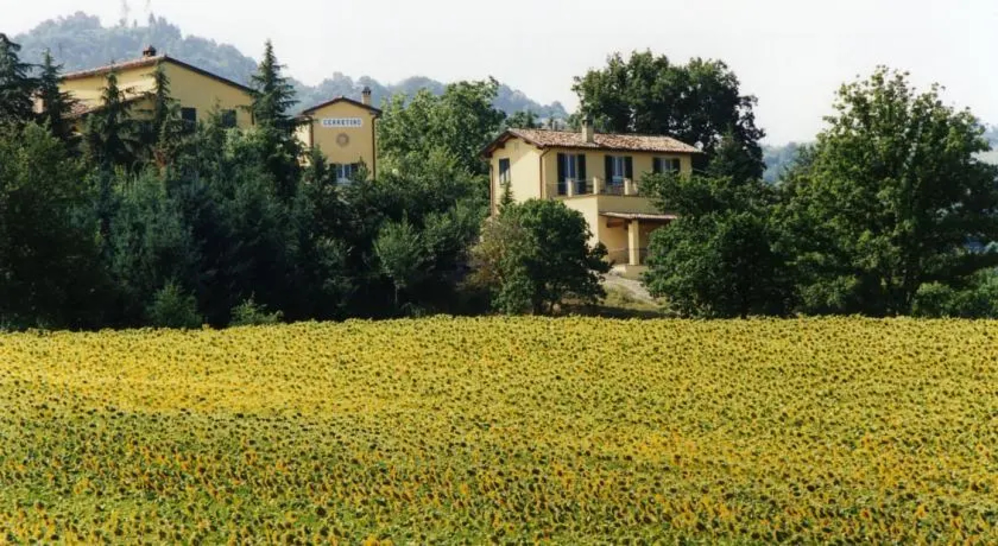 Fattoria del Cerretino