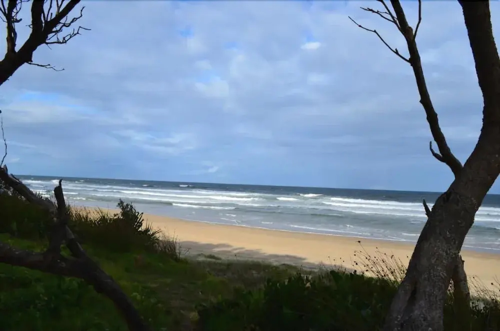Gateway Lifestyle Lorikeet