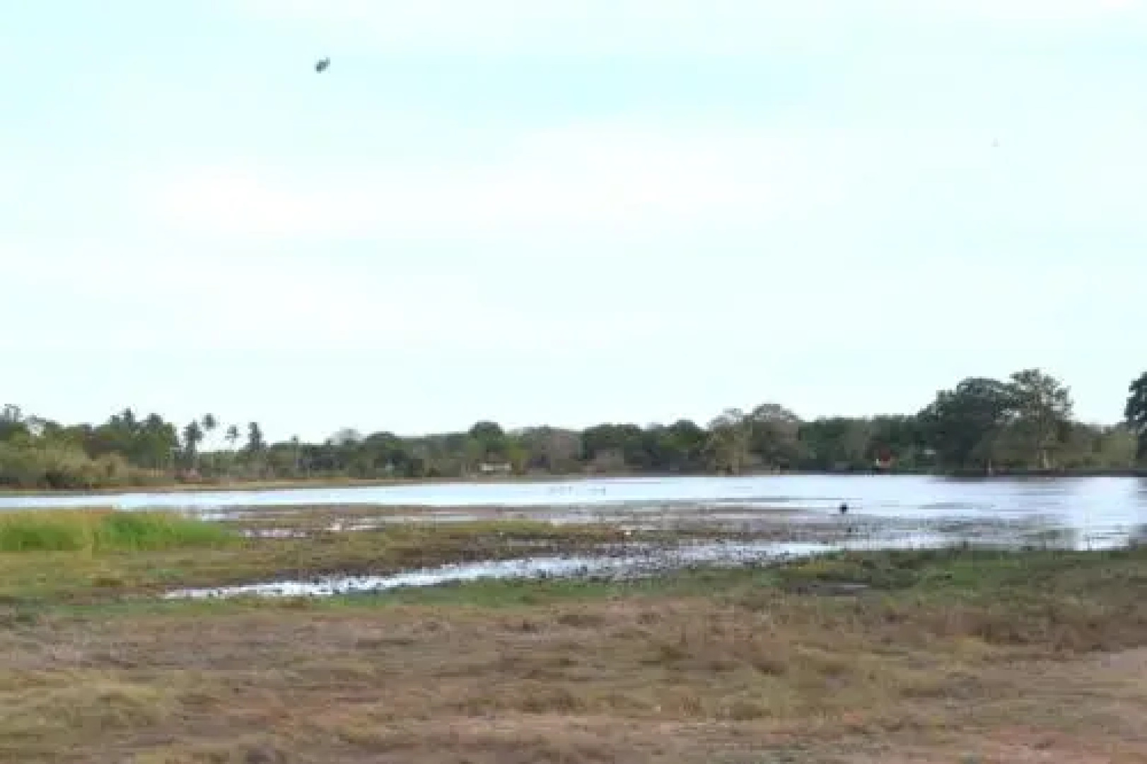 Wewlekam Safari Resort