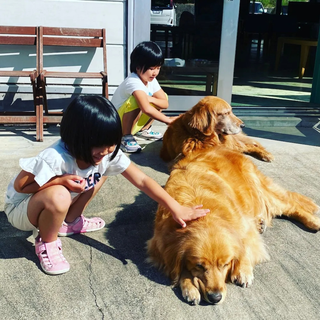 Riverside Hostel B&B – Hostel