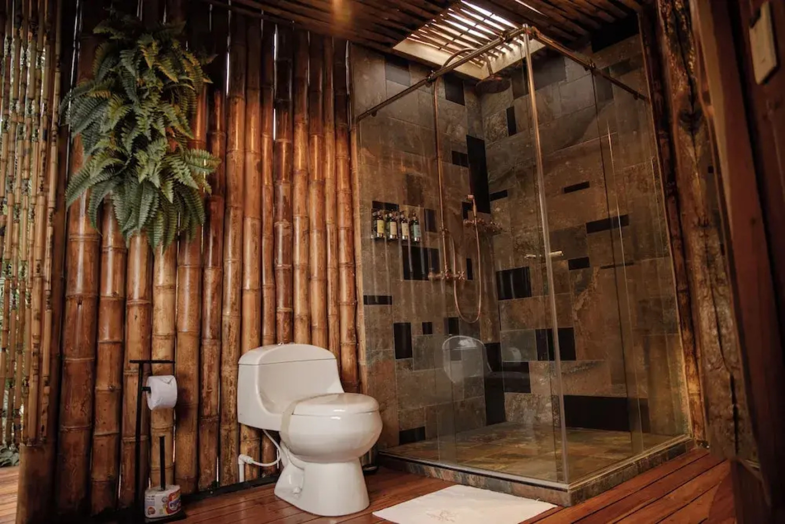 Atardeceres del cafe