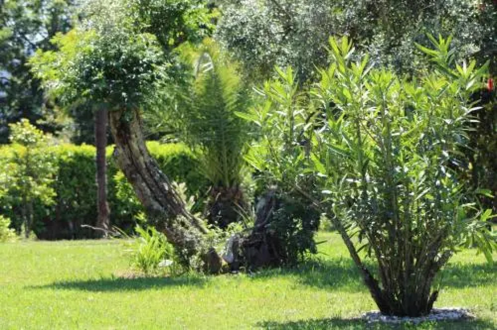 The Oak´S Wolf-Country House