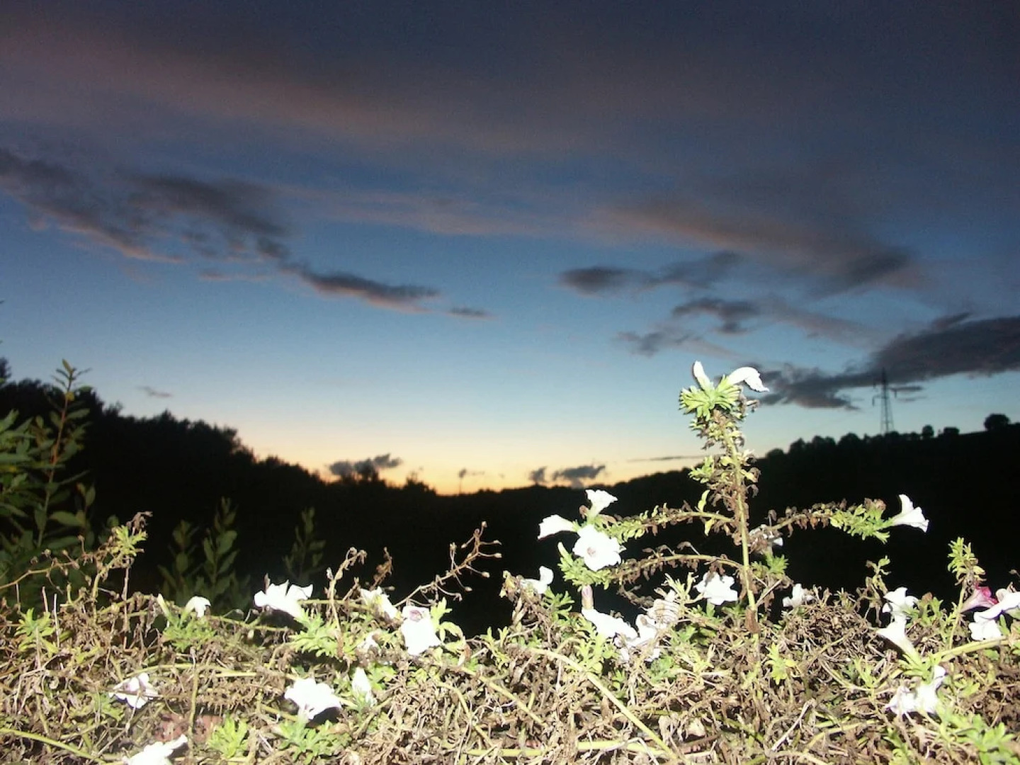 B&B Relais nel Borgo