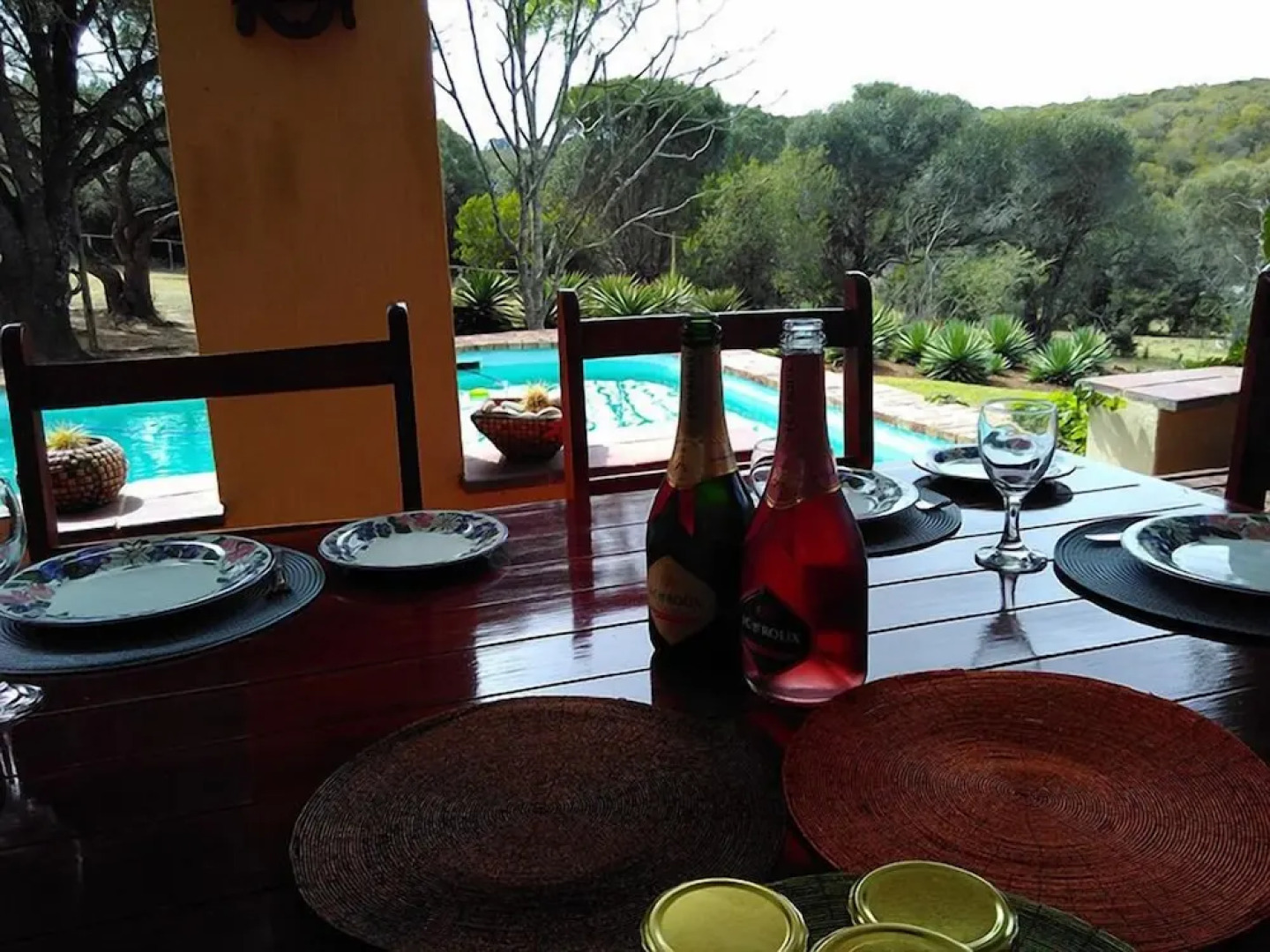 Aloe and Elephant Lodge