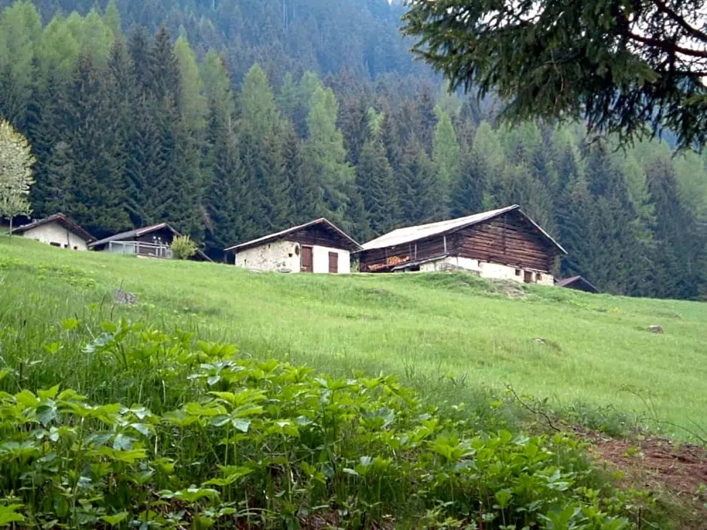 Chalet Nel Doch Villa Cheia