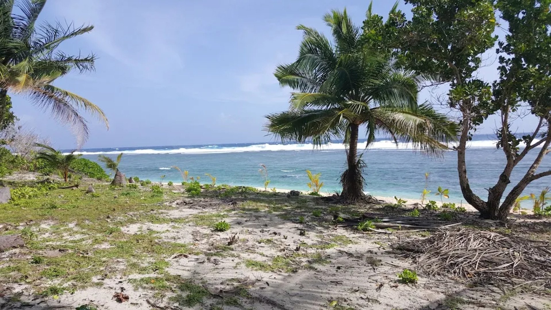 Calypso Surf and Dive