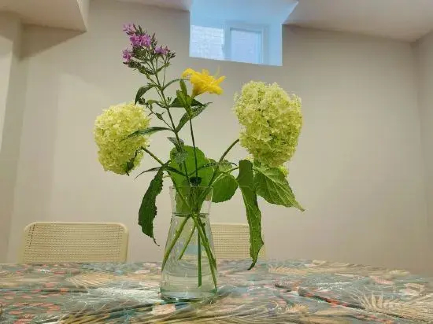 Private House Basement Suite Toronto/Richmond Hill