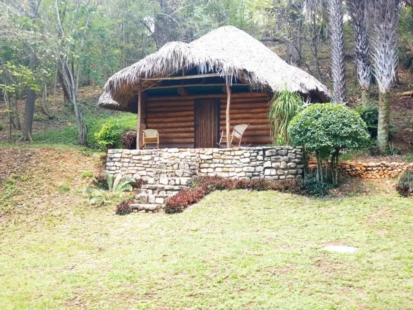 cabins sierraverde huasteca potosina "cabaña la ceiba"