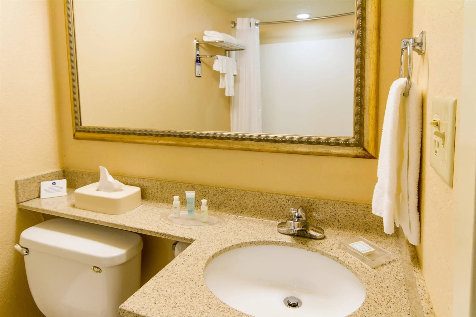 Best Western International Speedway Hotel