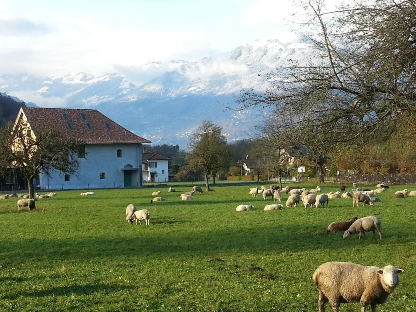 La Maison Du Directeur