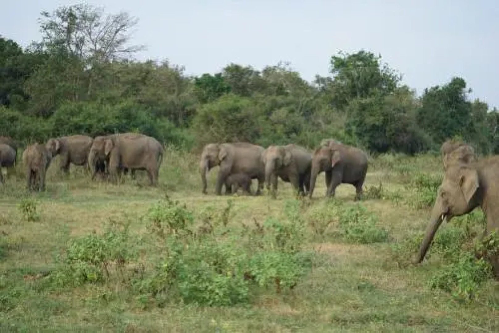 Kalpitiya Beach Hostel