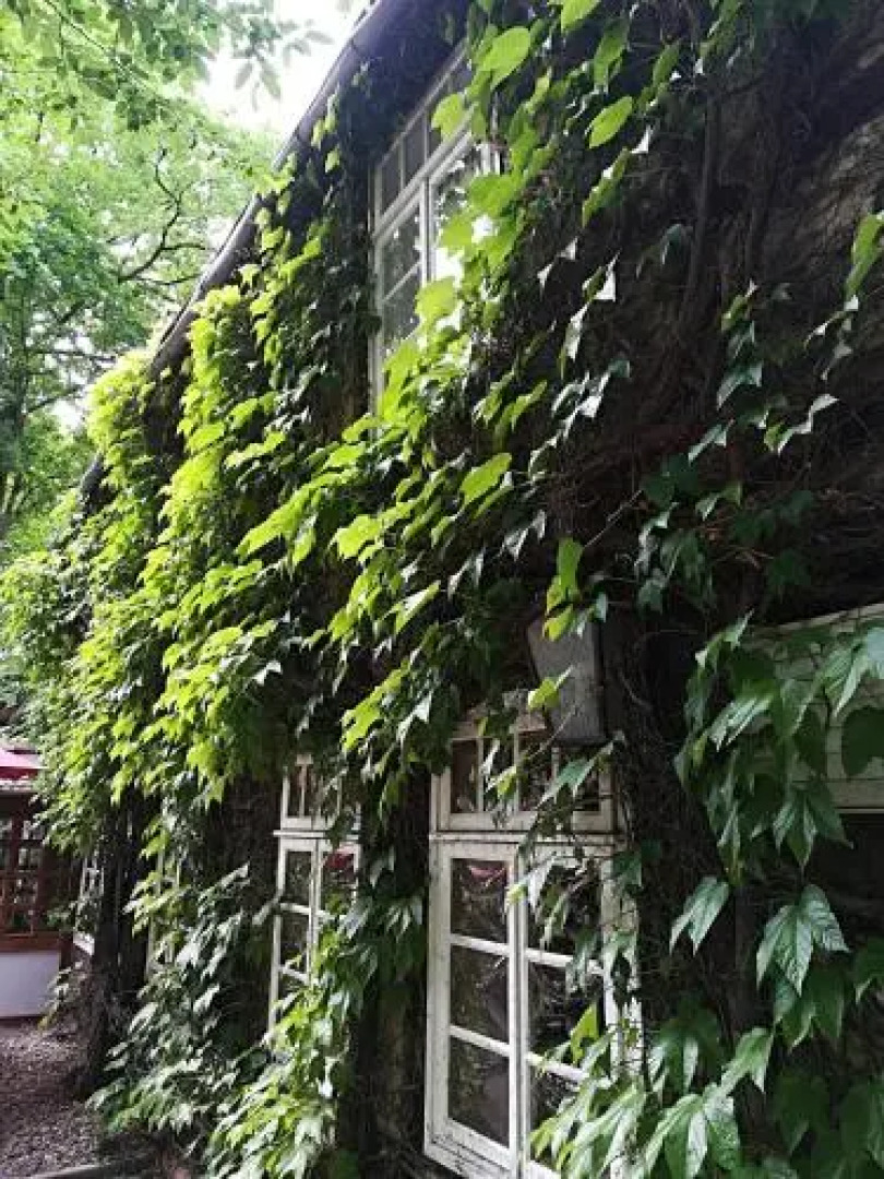 Gasthof Bad Hopfenberg