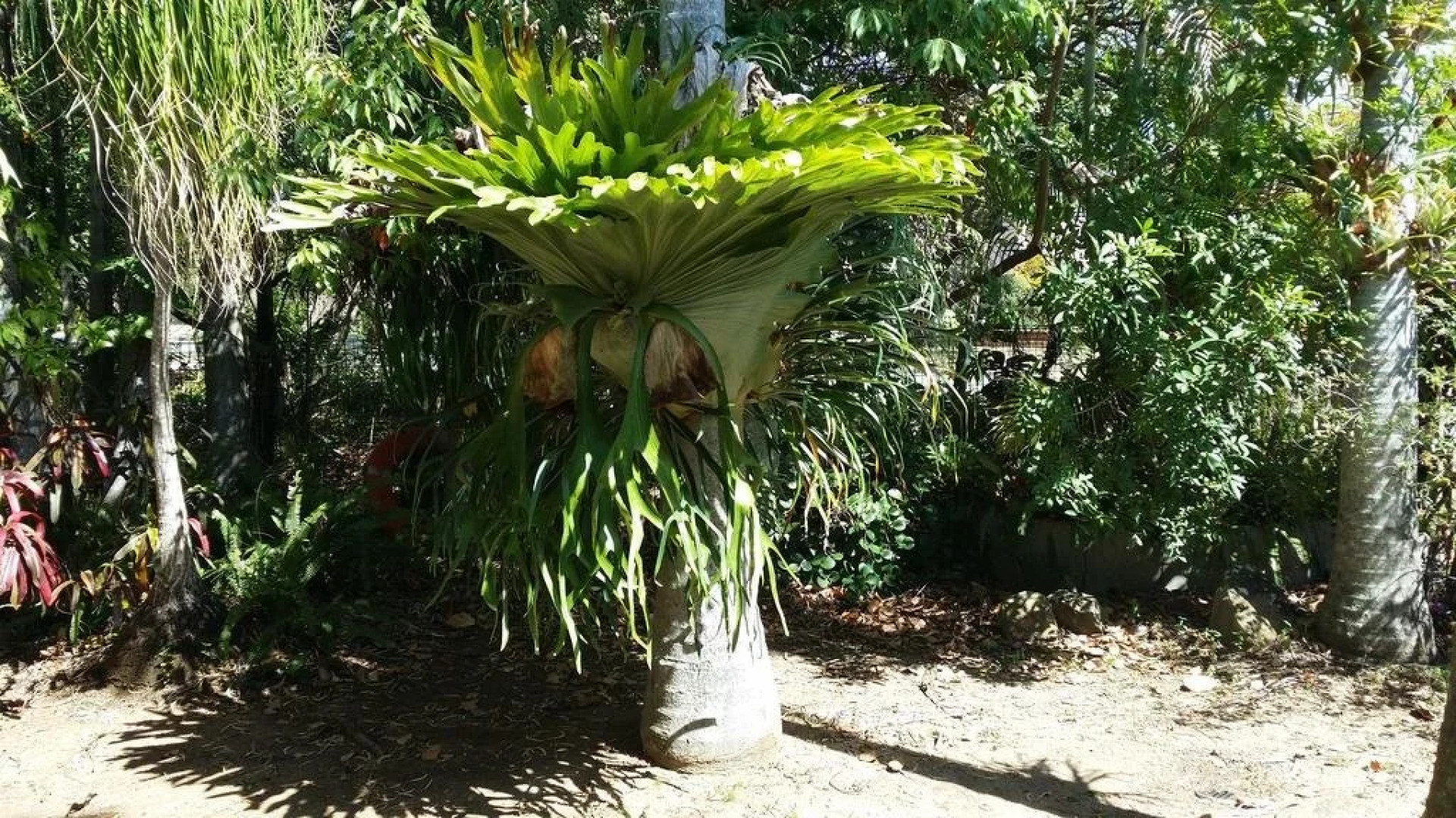 Baringa Bed & Breakfast