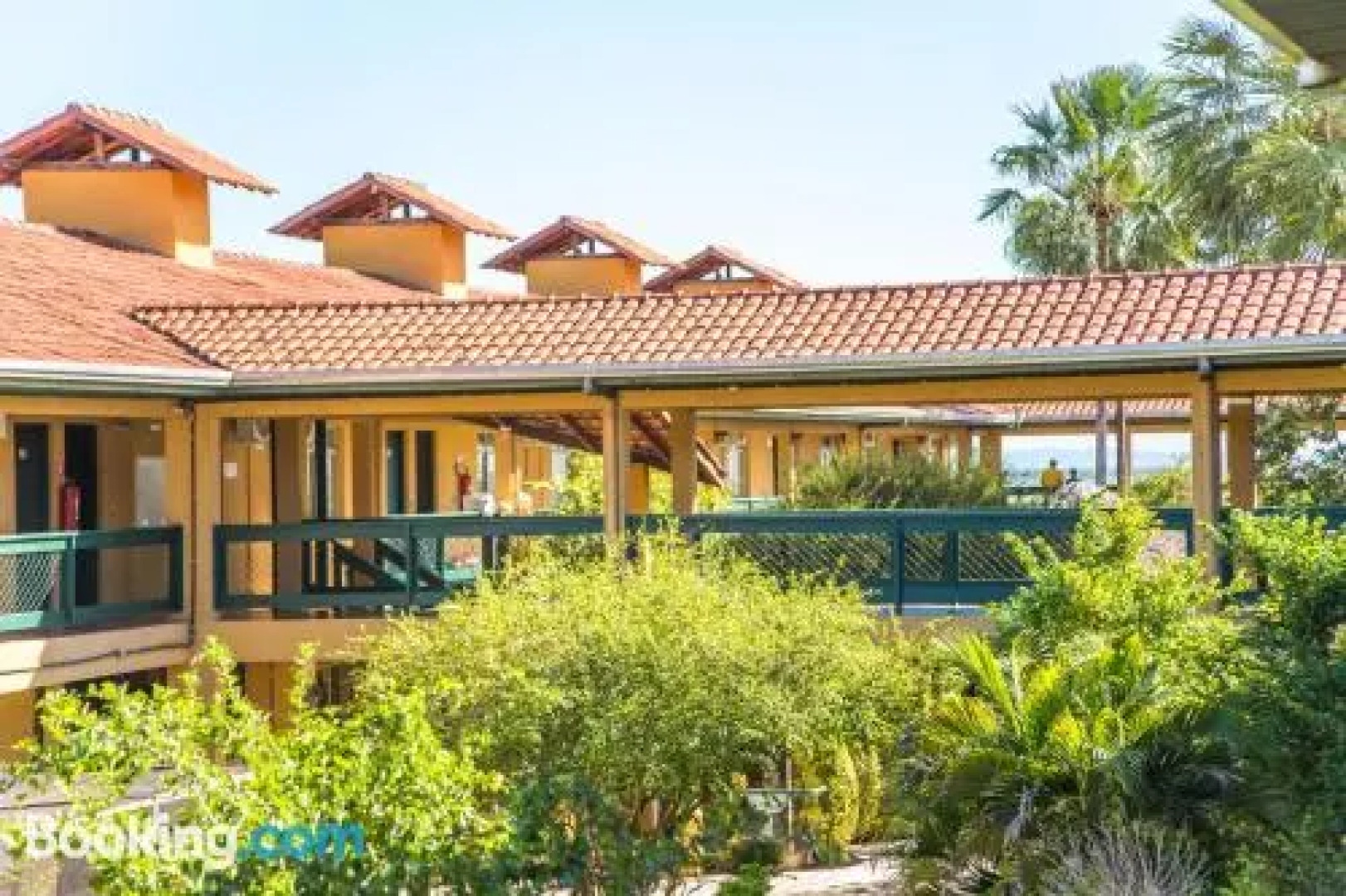 Candeias Hotel Gold Fish