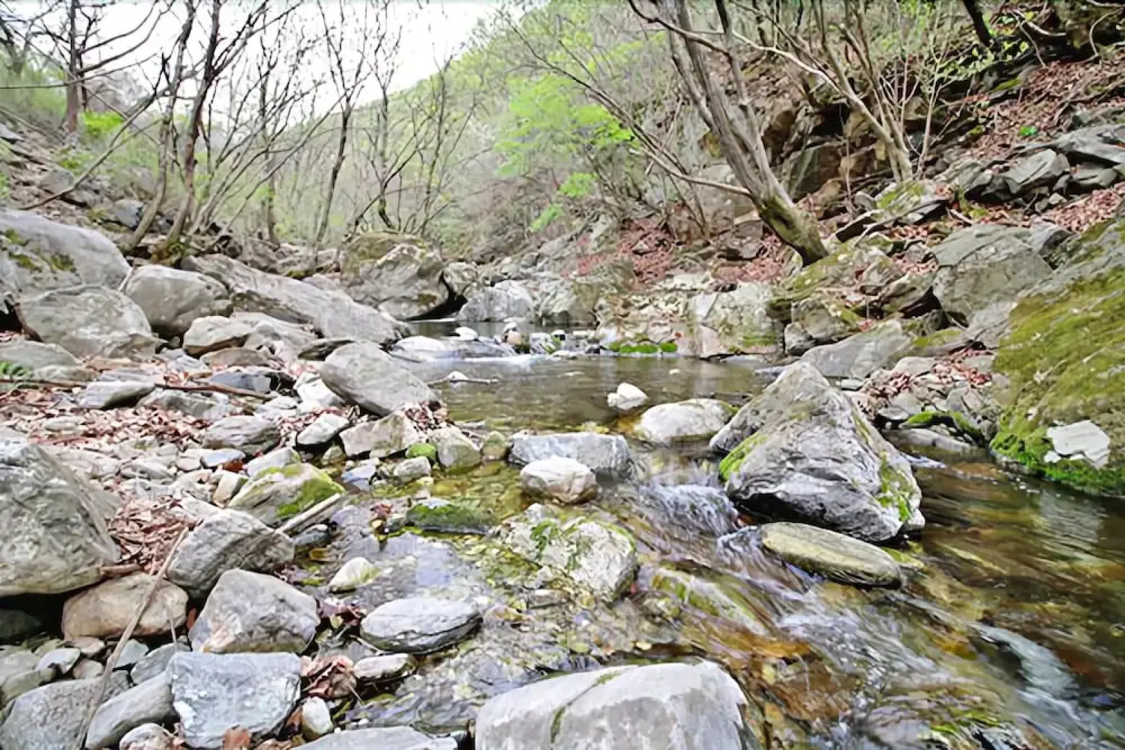 Yangpyeong Plus Pension