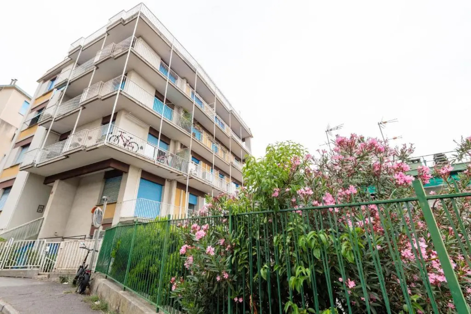 Modern Flat 250 mt from the sea - Albissola Marina