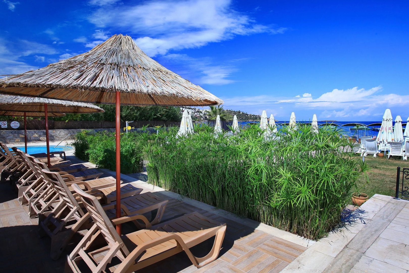 Cactus Fleur Bay Resort