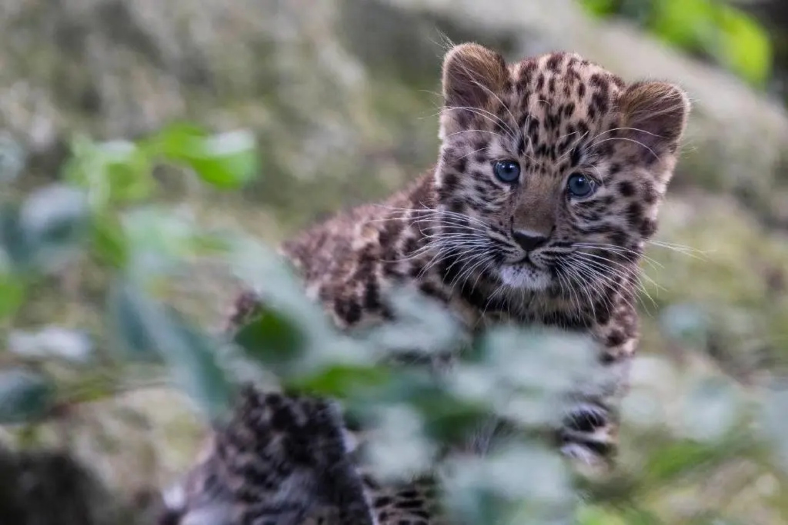 voco Winchester Hotel & Spa by IHG