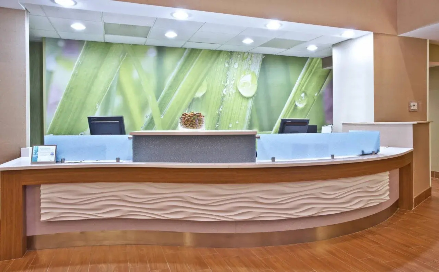 Springhill Suites by Marriott Chicago Elmhurst/Oakbrook Area