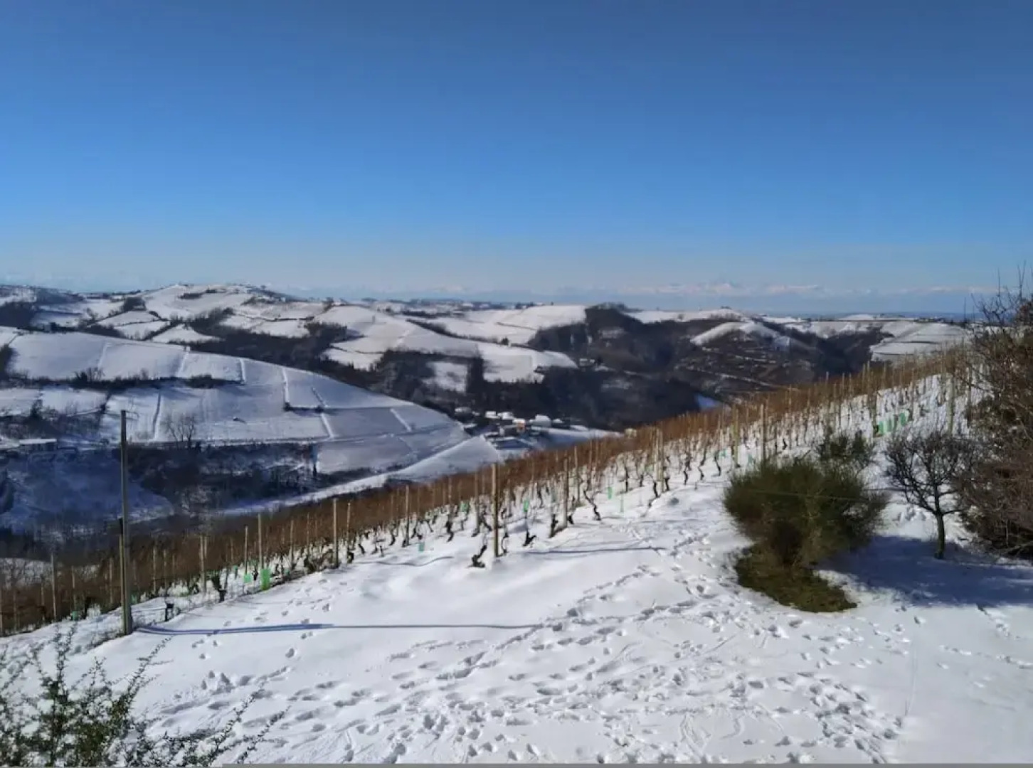 The Bread Oven House