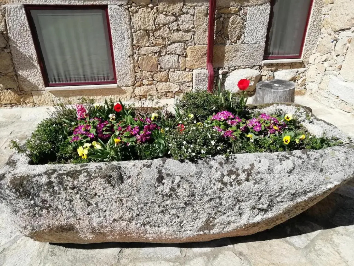 Carya Tallaya - Casas de Campo