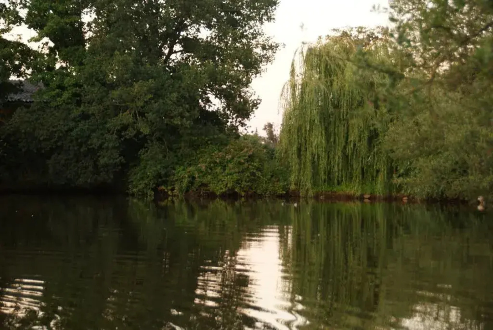 Chambres d'hôtes Logis de la Juquaise