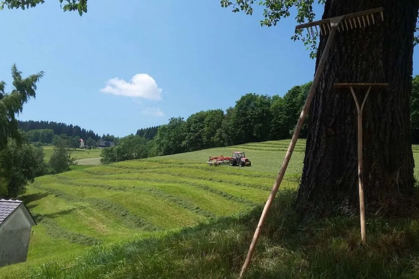 Ferienwohnungen Lichtenegger