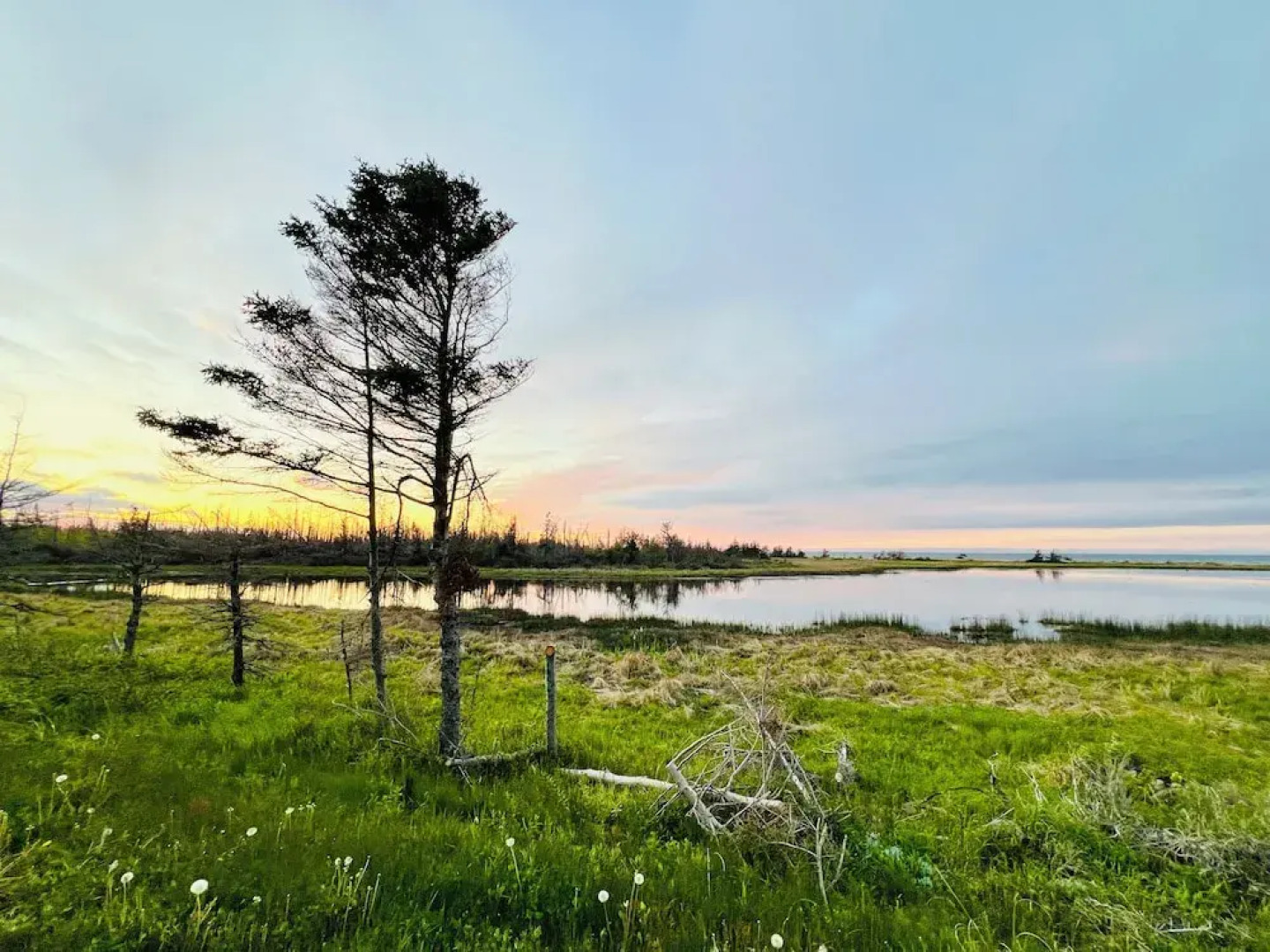 Skyline Terrace Cottages