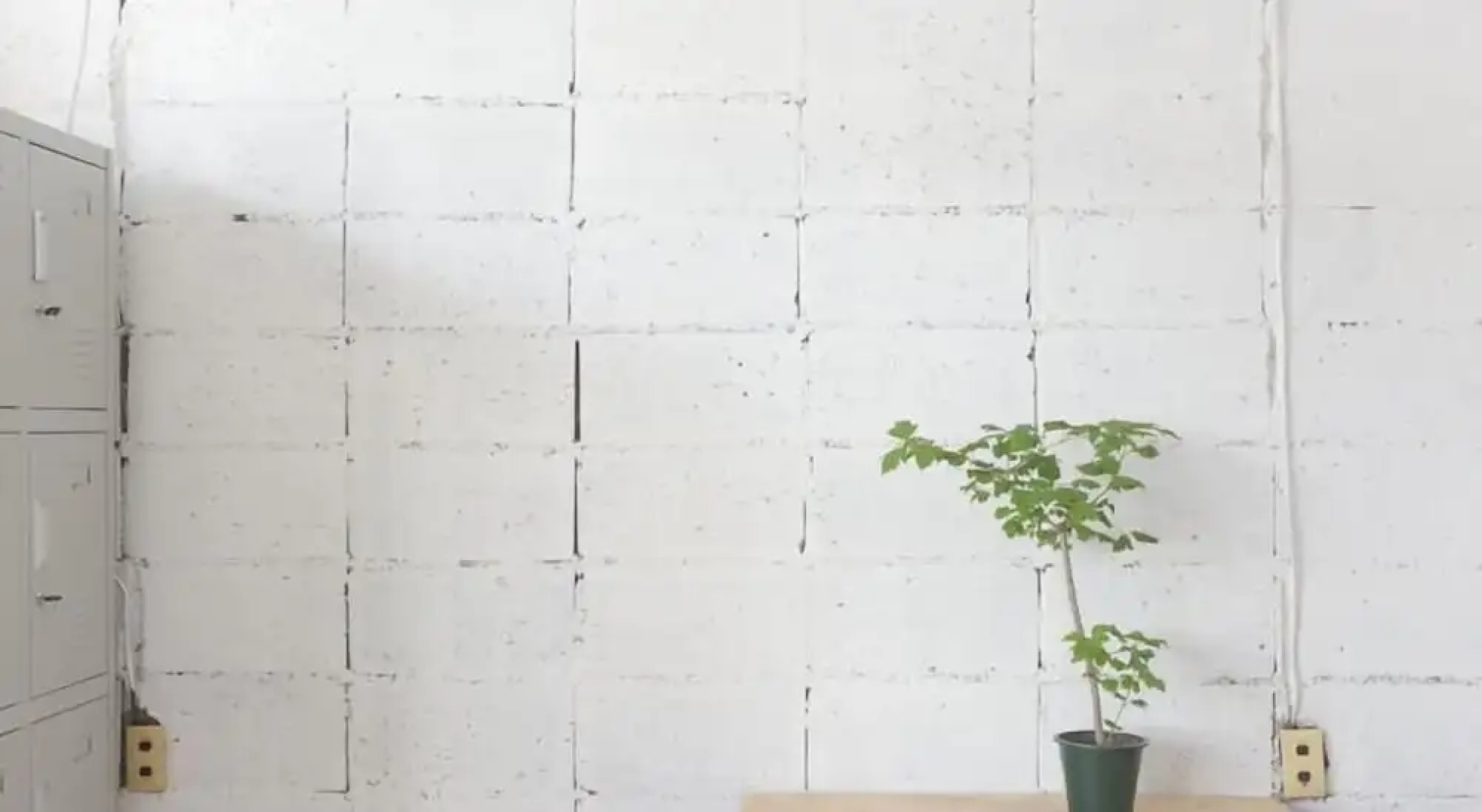 Nikkosan BackPackers Inn - Hostel