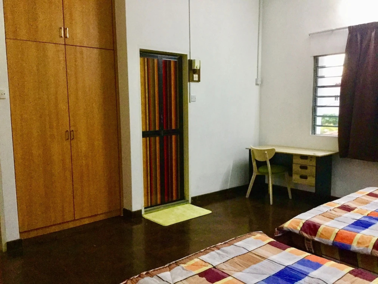 Sea Lion by the Beach