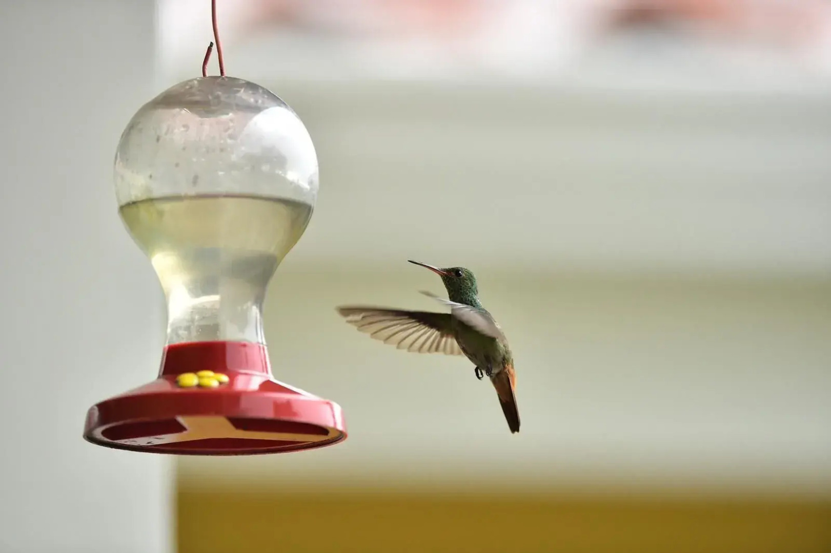 Lake Gardens Arenal Villas