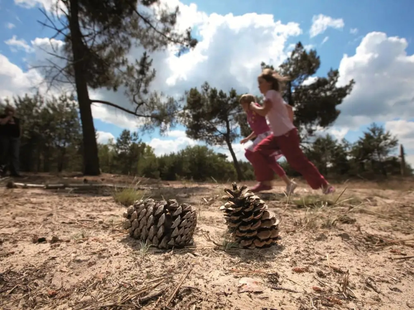 Furnished Chalet near Oisterwijkse Vennen