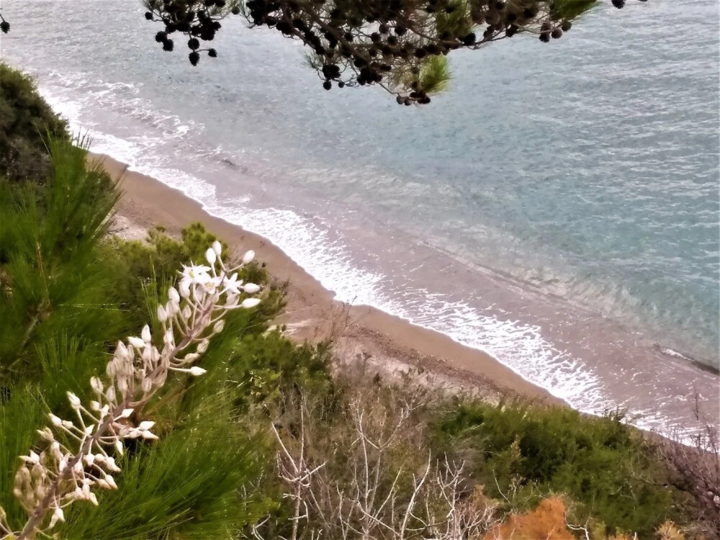 Apartments With sea View in Creta Ierapetra