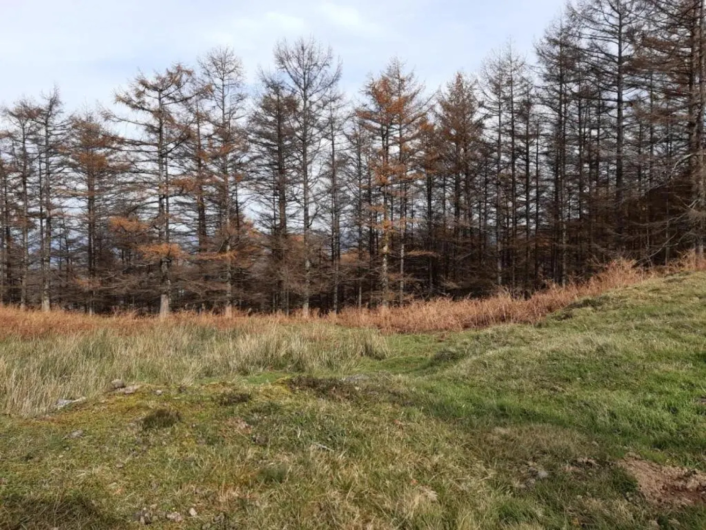 Apartamento Rural Elizondo