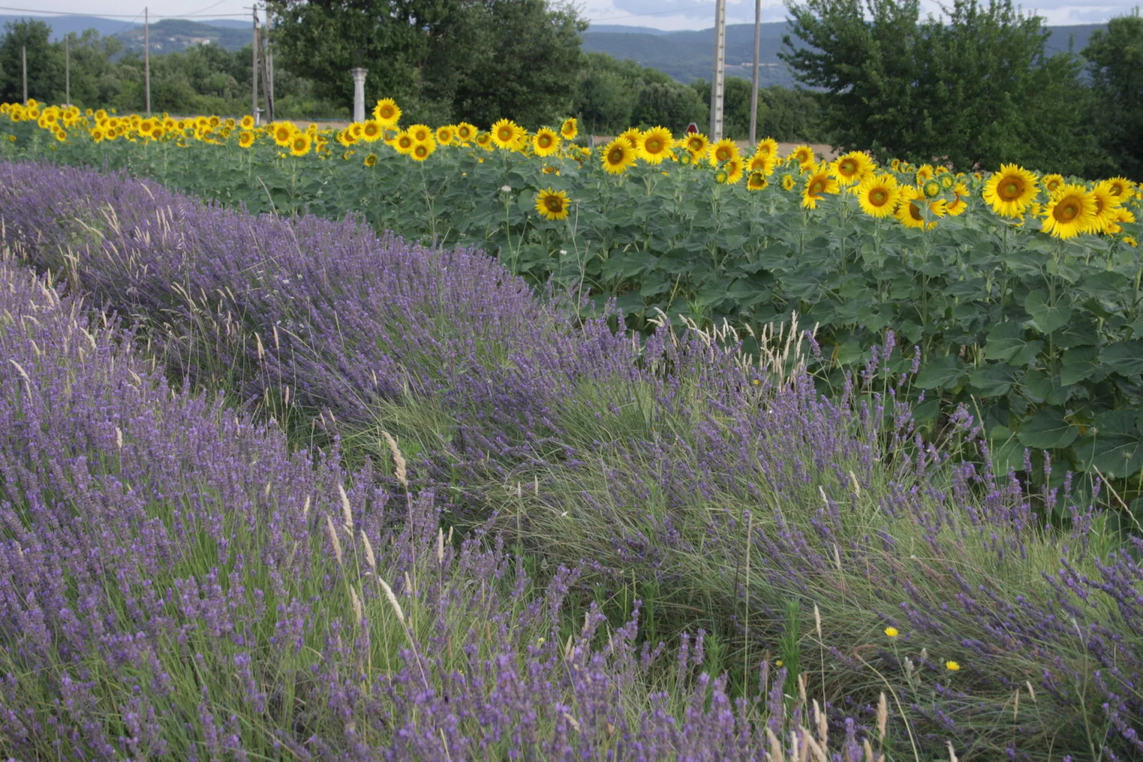 Hotel Ibis Budget Montélimar