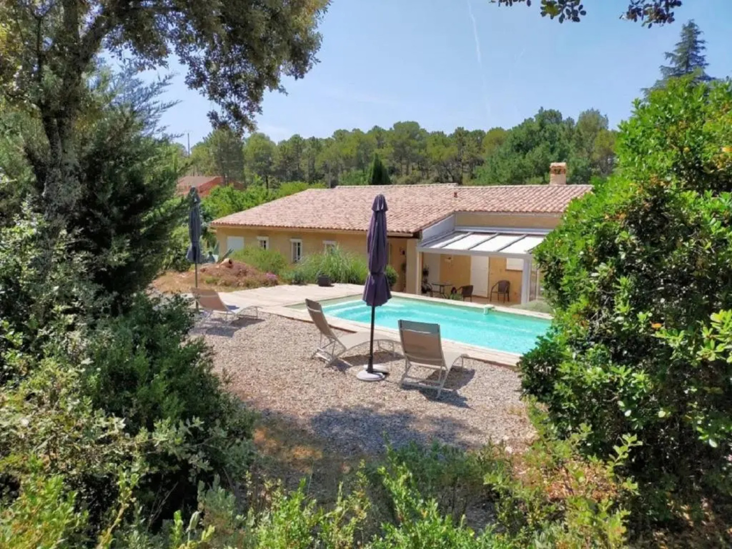 la Mésange Bleue du VERDON