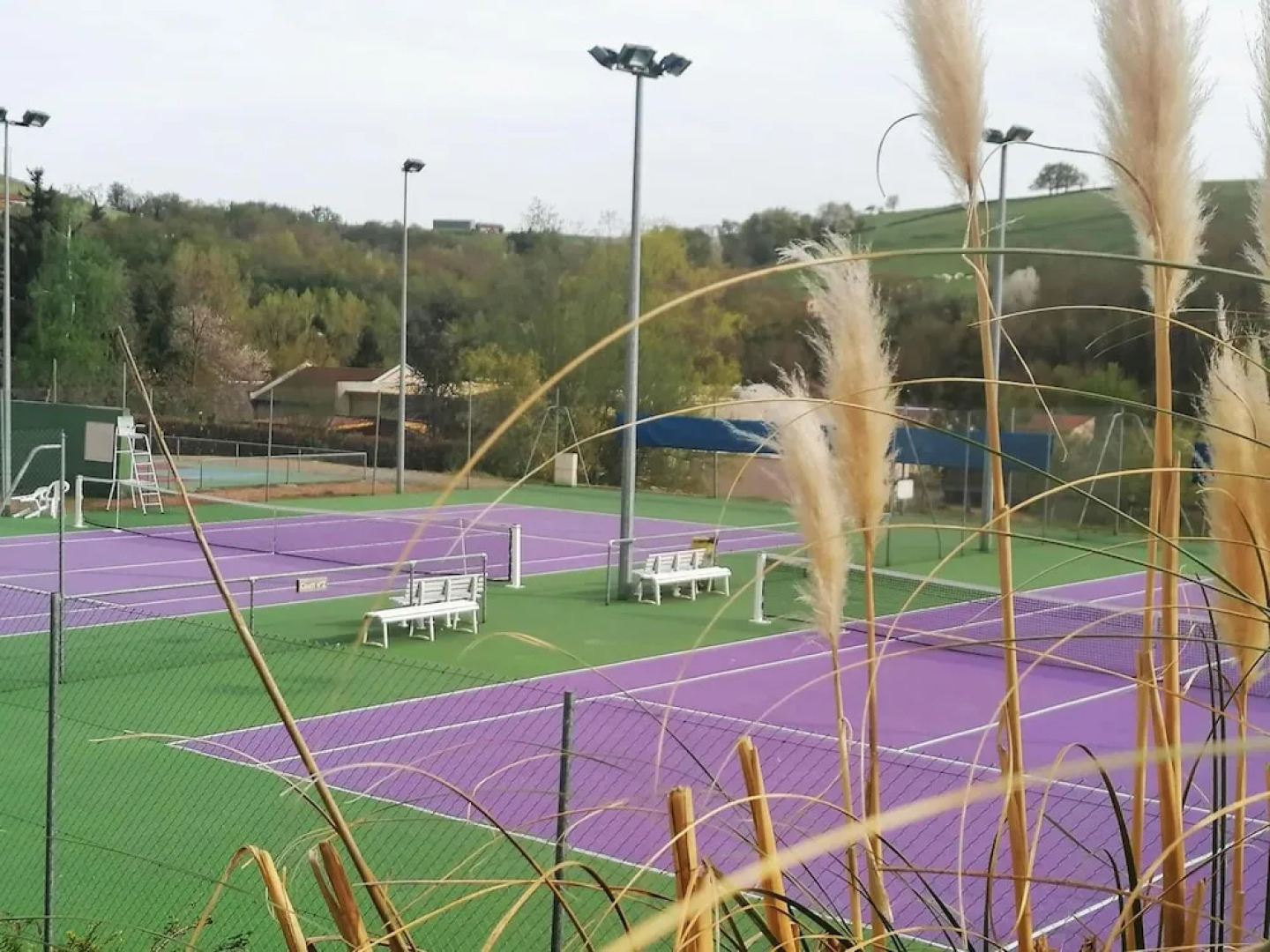 Chambre D'hôtes les Myriades D'Or
