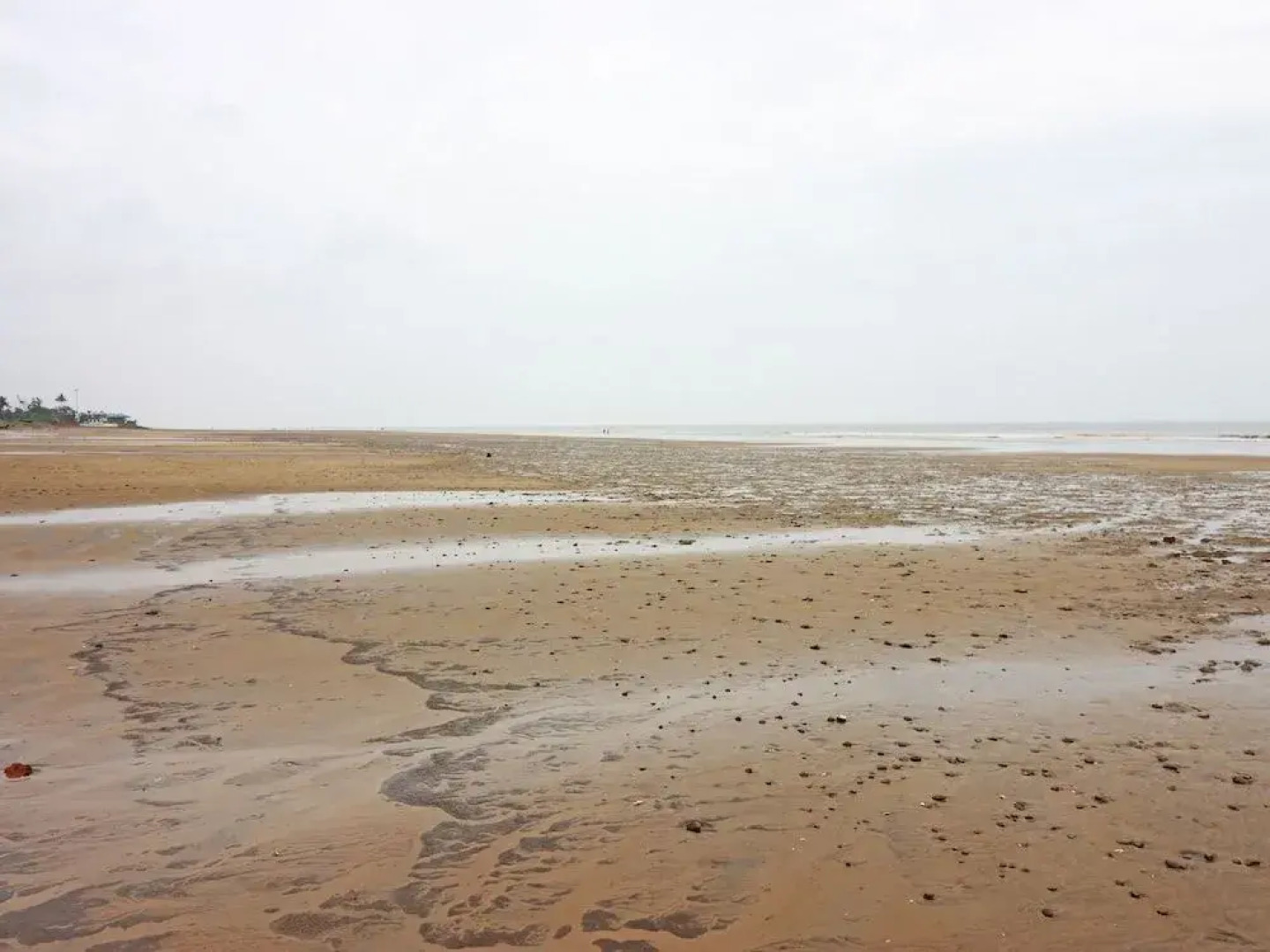 OYO 16101 Samrat Holiday Inn