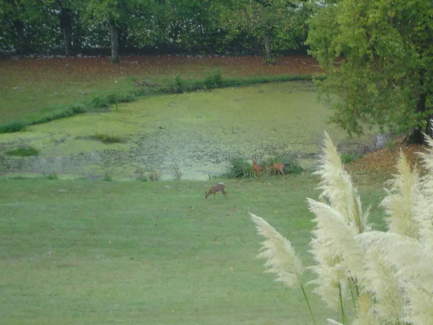 Chateau De Vaugrignon